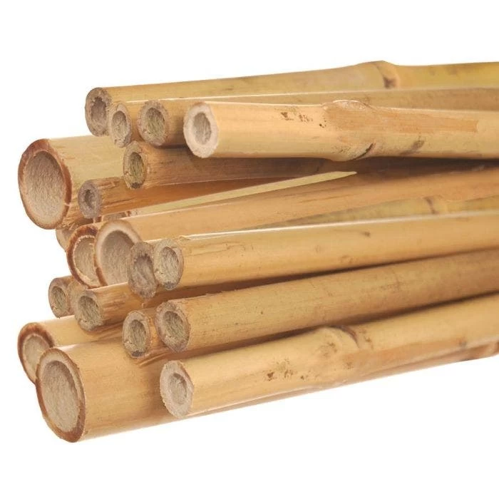 7-Foot Natural First Cut Premium Bamboo Stakes, 24-26 Mm Diameter, Bundle Of 50 1 7-Foot Natural First Cut Premium Bamboo Stakes, 24-26 Mm Diameter, Bundle Of 50