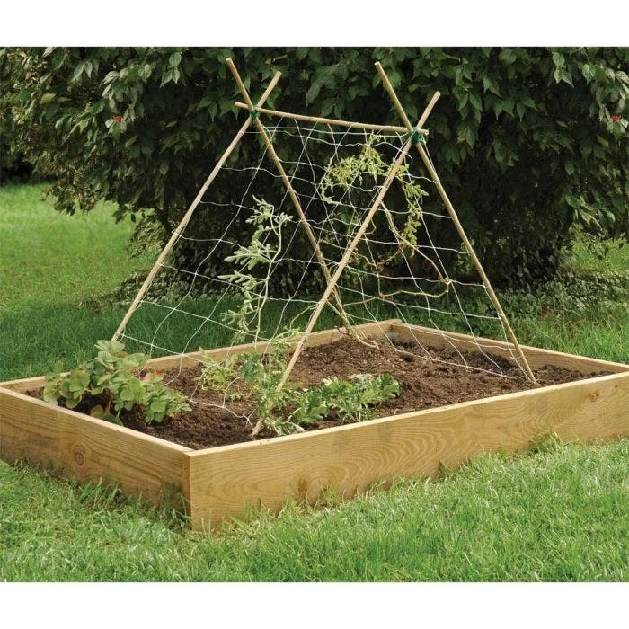 7-Foot Natural First Cut Premium Bamboo Stakes, 24-26 Mm Diameter, Bundle Of 50 2 7-Foot Natural First Cut Premium Bamboo Stakes, 24-26 Mm Diameter, Bundle Of 50 - Image 2