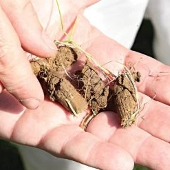 Brinly Tow-Behind Plug Aerator -Garden And Outdoor Shop pa48 3