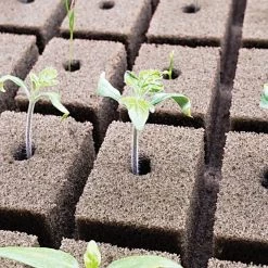 OASIS; Grower Solutions Horticubes; XL Foam Medium, 162 Cell -Garden And Outdoor Shop rc104 2 3