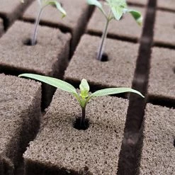 OASIS; Grower Solutions Horticubes; XL Foam Medium, 162 Cell -Garden And Outdoor Shop rc104 3 3