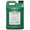 Regalia; Organic Bio-Fungicide