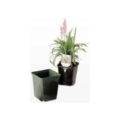 ITML Deep Perennial Pot 5 5/16in X 5.25in Black 200 Per Case.