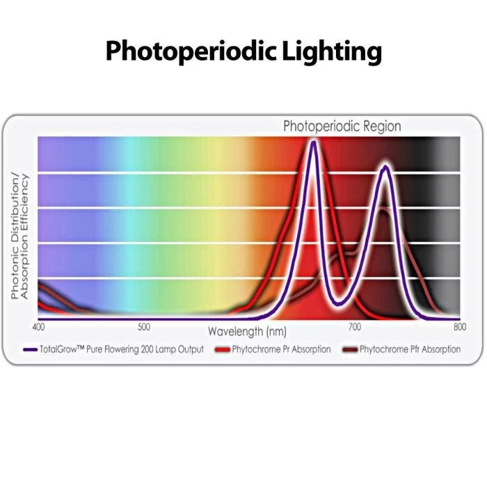 TotalGrow Pure Flowering 200 Lamp 3 TotalGrow Pure Flowering 200 Lamp - Image 3