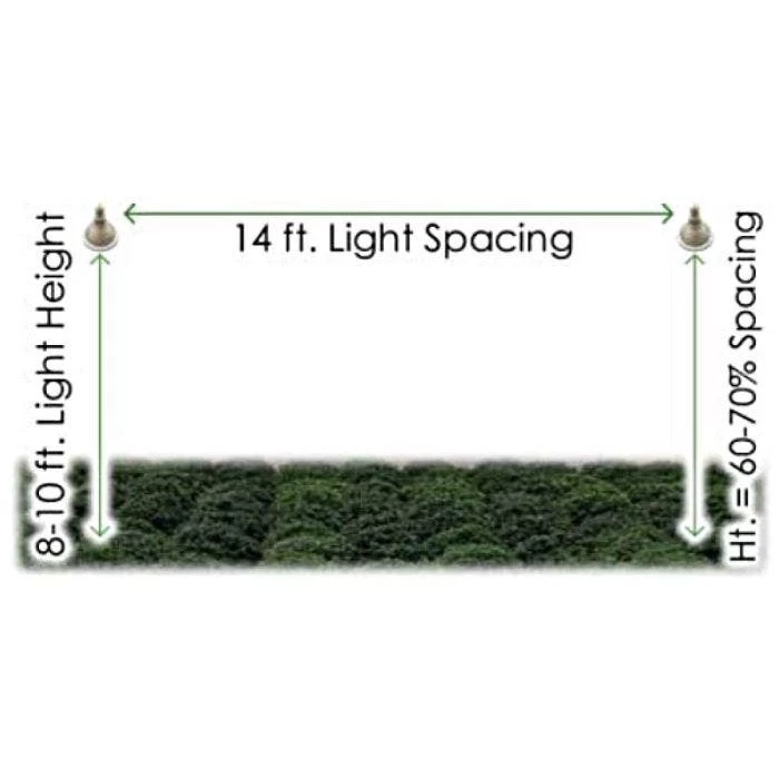 TotalGrow Pure Flowering 200 Lamp 5 TotalGrow Pure Flowering 200 Lamp - Image 5