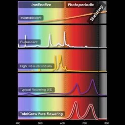 TotalGrow Pure Flowering 200 Lamp 11 TotalGrow Pure Flowering 200 Lamp -Garden And Outdoor Shop tg1a4 5