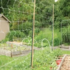 Hortonova Trellis Netting, 6-1/2 Feet X 50 Feet -Garden And Outdoor Shop tn650 11