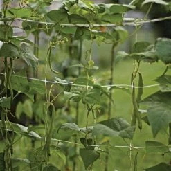 Hortonova Trellis Netting, 6-1/2 Feet X 50 Feet -Garden And Outdoor Shop tn650 12