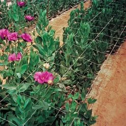 Hortonova Trellis Netting, 6-1/2 Feet X 50 Feet -Garden And Outdoor Shop tn650 15