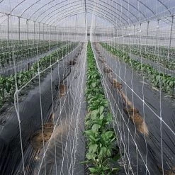 Hortonova Trellis Netting, 6-1/2 Feet X 50 Feet -Garden And Outdoor Shop tn650 4