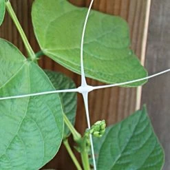 Hortonova Trellis Netting, 6-1/2 Feet X 50 Feet -Garden And Outdoor Shop tn650 9