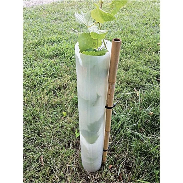 Tree Pro 24-Inch Slit Tube Tree Shelters, Bundle Of 5 3 Tree Pro 24-Inch Slit Tube Tree Shelters, Bundle Of 5 - Image 3