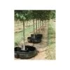 Bio-Plex Drip Irrigation Tree Ring 25gal
