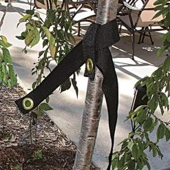 Tree Strap With Loop, 32 Inches X 1.5 Inches, Case Of 24