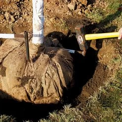 Tree Anchor Staple 2"-4" Caliper 36 -Garden And Outdoor Shop tst36 2