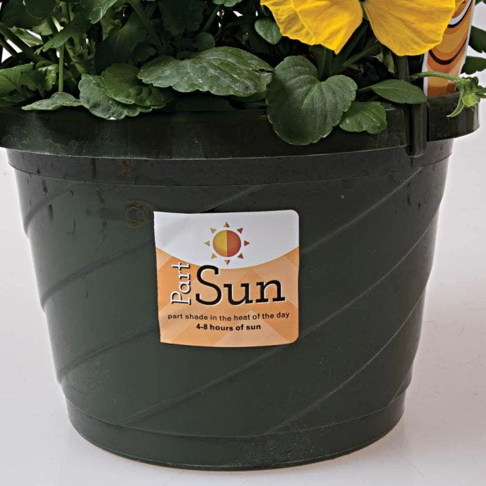 Sunlight Requirement Adhesive Labels, Partial Sun, 4 In. X 2 In. 2 Sunlight Requirement Adhesive Labels, Partial Sun, 4 In. X 2 In. - Image 2