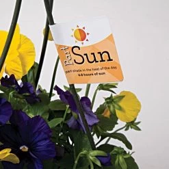 Sunlight Requirement Adhesive Labels, Partial Sun, 4 In. X 2 In. 5 Sunlight Requirement Adhesive Labels, Partial Sun, 4 In. X 2 In. -Garden And Outdoor Shop ul2026 2