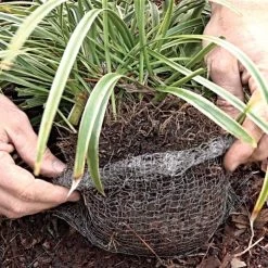 Vole King 1-Gallon Plant Baskets, Pack Of 4 -Garden And Outdoor Shop vk1g 3