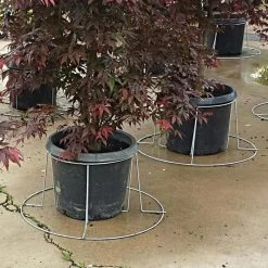 Better Bilt TopHat Plant Container Stabilizer -Garden And Outdoor Shop vp 3ps 2