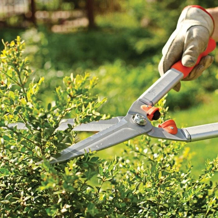 Leonard 9in Straight Blade Hedge Shears 4 Leonard 9in Straight Blade Hedge Shears - Image 4
