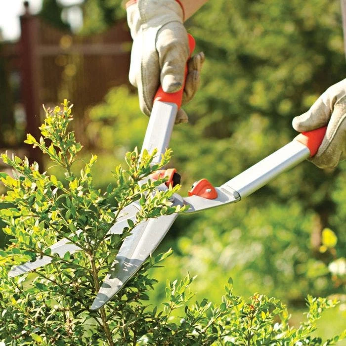 Leonard 9in Straight Blade Hedge Shears 3 Leonard 9in Straight Blade Hedge Shears - Image 3