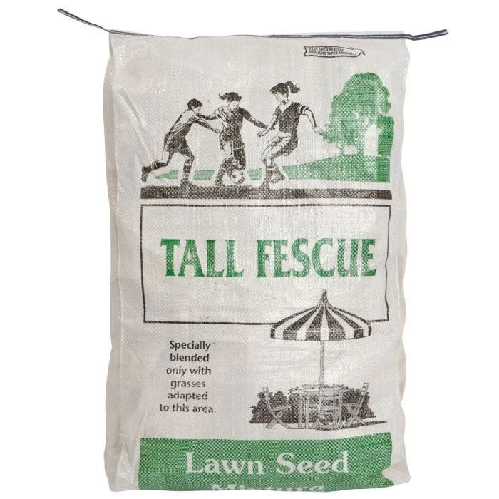 Turf Type Tall Fescue 1 Turf Type Tall Fescue