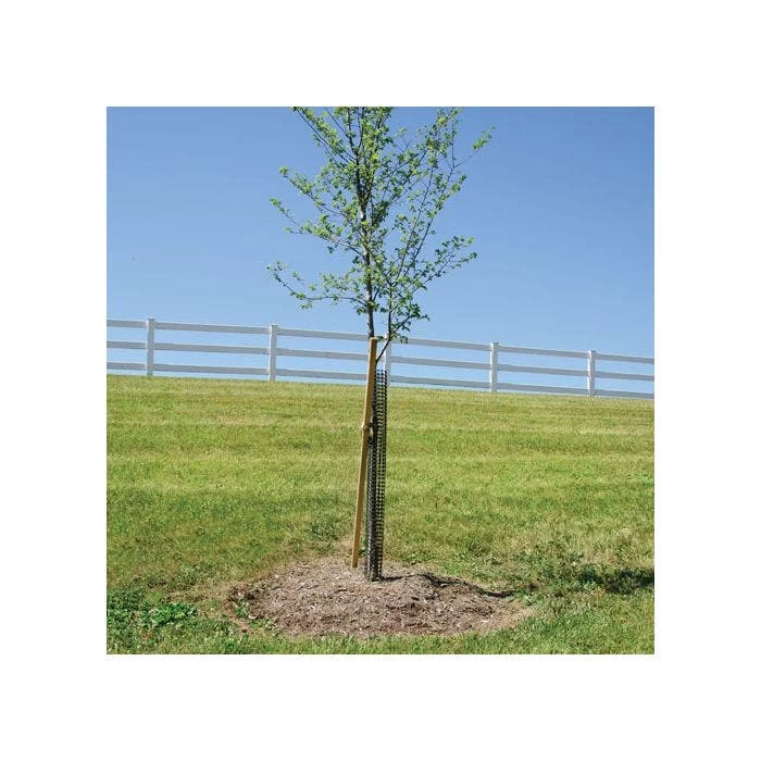 Leonard Rigid Plastic Mesh Tree Guards 4 Inch Diameter 2 Leonard Rigid Plastic Mesh Tree Guards 4 Inch Diameter - Image 2