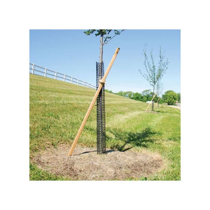 Leonard Rigid Plastic Mesh Tree Guards 4 Inch Diameter 3 Leonard Rigid Plastic Mesh Tree Guards 4 Inch Diameter - Image 3