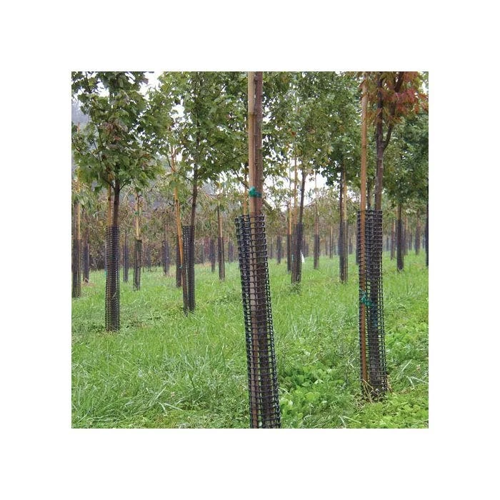 Leonard Rigid Plastic Mesh Tree Guards 4 Inch Diameter 4 Leonard Rigid Plastic Mesh Tree Guards 4 Inch Diameter - Image 4