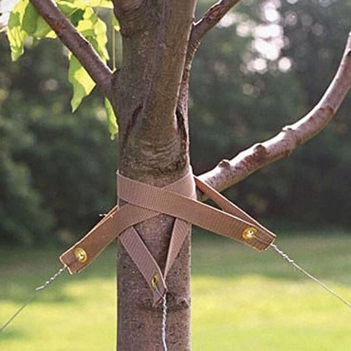 Treestrap Biodegradable Tree Straps 2 Treestrap Biodegradable Tree Straps - Image 2