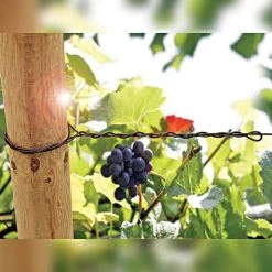 DuraLine Monofilament Trellis Line -Garden And Outdoor Shop vp duraline 2