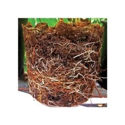 Grotab 3-in-1 Premium Plant Starter (12-8-4) 8 Grotab 3-in-1 Premium Plant Starter (12-8-4) -Garden And Outdoor Shop vp gt 2