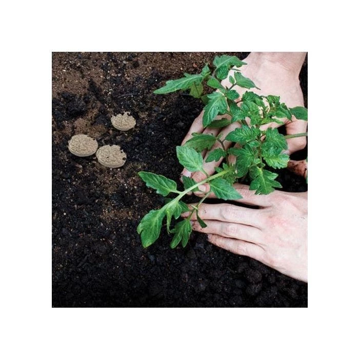 Grotab 3-in-1 Premium Plant Starter (12-8-4) 4 Grotab 3-in-1 Premium Plant Starter (12-8-4) - Image 4