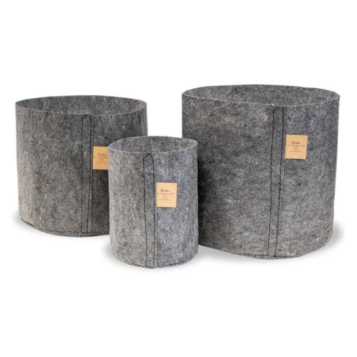 Charcoal Line Root Pouch, 12-18 Months 1 Charcoal Line Root Pouch, 12-18 Months