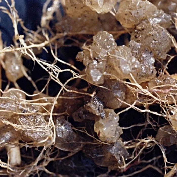 Soil Moist Plus 7 7 7 Granular 2 Soil Moist Plus 7 7 7 Granular - Image 2