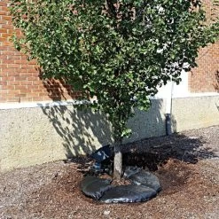 TreeDiaper Landscaper Pro Packs -Garden And Outdoor Shop vp tdxxmp 3