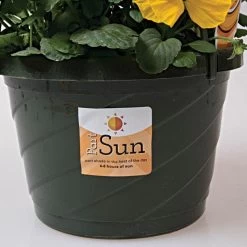 Sunlight Requirement Adhesive Labels 4 In X 2 In -Garden And Outdoor Shop vp ul20xx 5