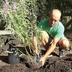 Vole King Plant Baskets -Garden And Outdoor Shop vp vkbasket 7