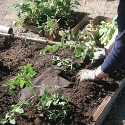 Biodegradable Paper Mulch, 3 Feet X 250 Feet -Garden And Outdoor Shop wg36250f 2