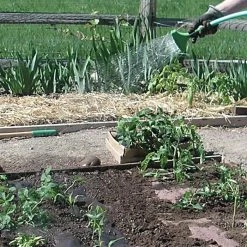 Biodegradable Paper Mulch, 3 Feet X 250 Feet -Garden And Outdoor Shop wg36250f 5