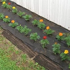 Biodegradable Paper Mulch, 3 Feet X 250 Feet -Garden And Outdoor Shop wg36250f 6