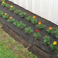 Biodegradable Paper Mulch, 3 Feet By 500 Feet -Garden And Outdoor Shop wg36500f 6