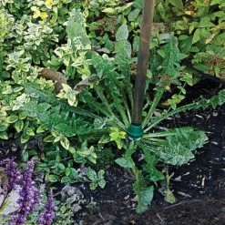 Weed Wand Magic Applicator With 3 Replacement Tips 8 Weed Wand Magic Applicator With 3 Replacement Tips -Garden And Outdoor Shop wwata 3